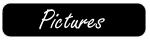pictures